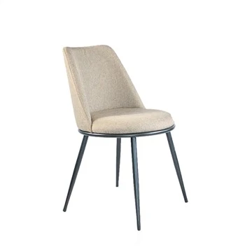Fabric Indoor dining Chair