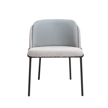 Dining Living Room Chairs