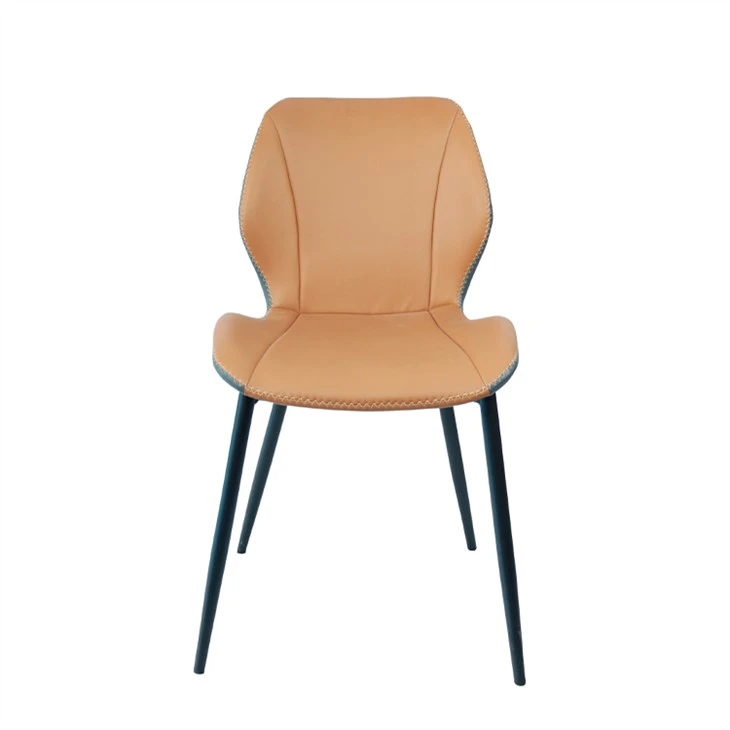 Modern Simple Style Patchwork Color Dining Chair